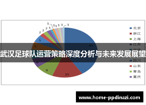 武汉足球队运营策略深度分析与未来发展展望